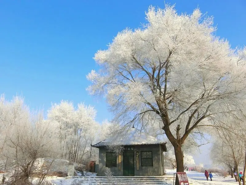 C&aacute;t L&acirc;m Trung Quốc: Chốn thi&ecirc;n đường rạng rỡ m&ugrave;a đ&ocirc;ng 8