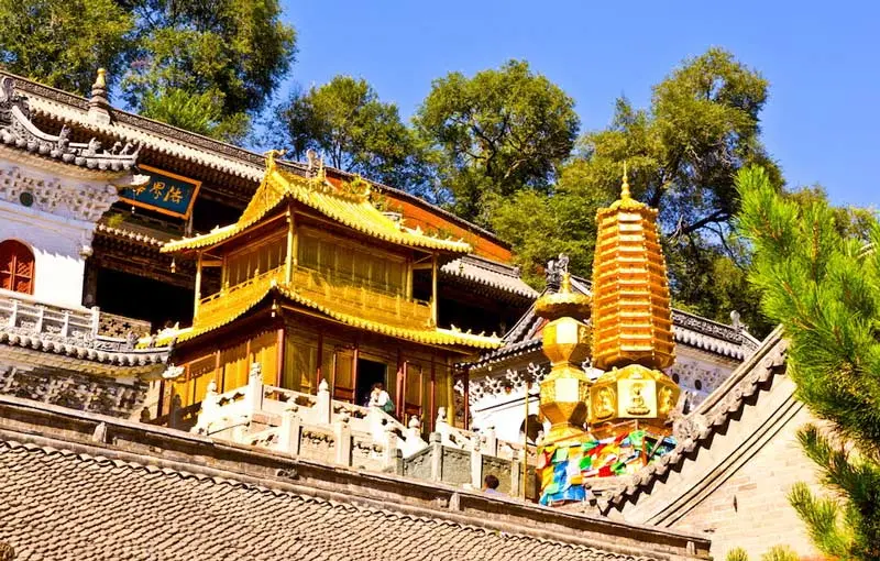 Chinh phục Ngũ Đ&agrave;i Sơn, một trong Ngũ Đại Danh Sơn của Trung Quốc 5