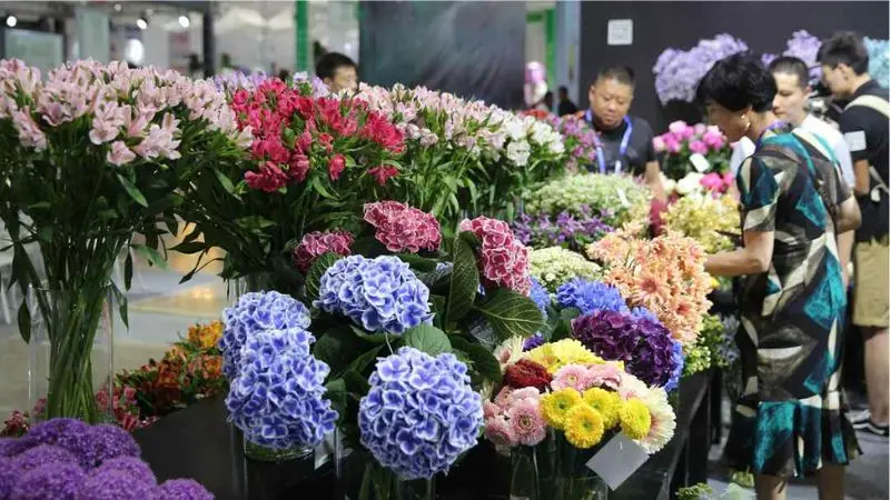 Chợ hoa Đấu Nam, c&aacute;nh gi&oacute; cho thị trường hoa Trung Quốc 7