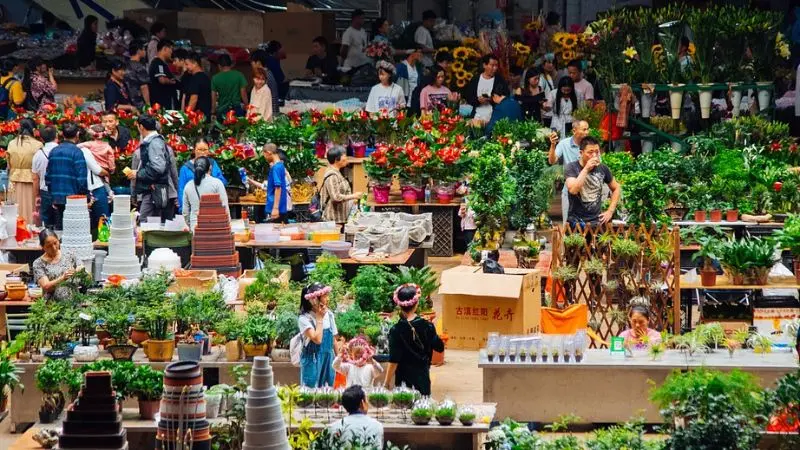Chợ hoa Đấu Nam, c&aacute;nh gi&oacute; cho thị trường hoa Trung Quốc 5