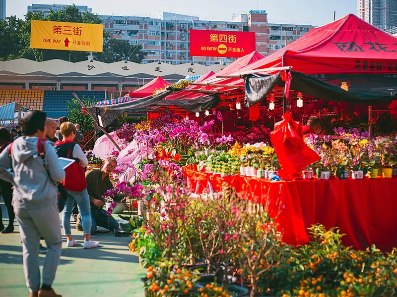 Du lịch Hong Kong Tết Nguy&ecirc;n Đ&aacute;n tận hưởng m&ugrave;a lễ hội lớn nhất năm 3
