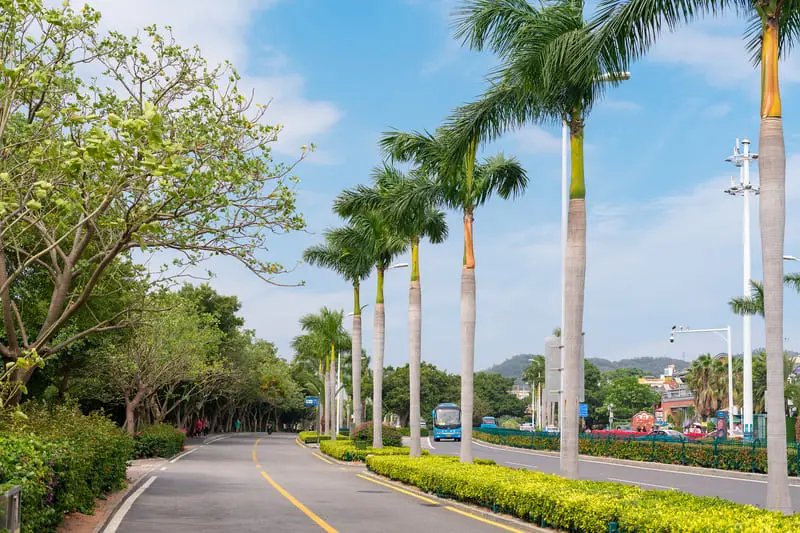 Hạ M&ocirc;n Trung Quốc, đ&ocirc; thị xứ biển mang vẻ đẹp ngọt ng&agrave;o 13