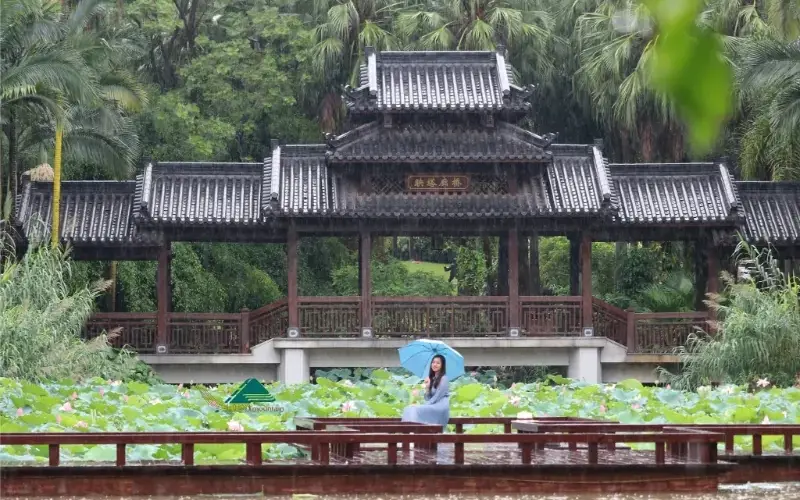 H&agrave;nh tr&igrave;nh kh&aacute;m ph&aacute; Thanh T&uacute; Sơn: L&aacute; phổi xanh của Nam Ninh 7