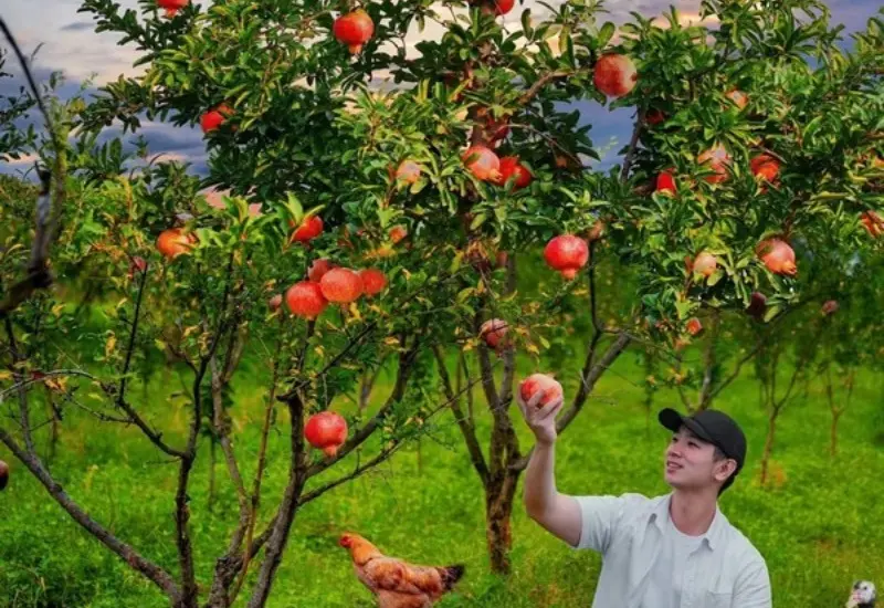 Kh&aacute;m ph&aacute; Ch&acirc;u Hồng H&agrave;: v&ugrave;ng đất tuyệt đẹp tại V&acirc;n Nam 10