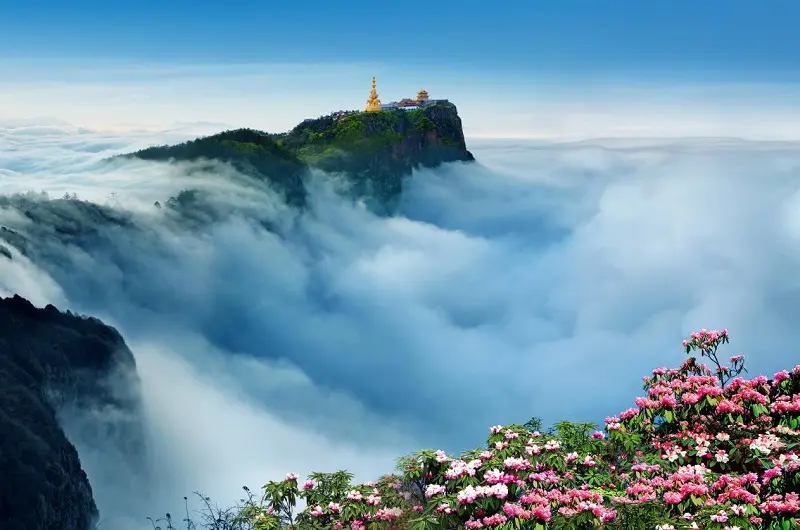 Kh&aacute;m ph&aacute; một Tứ Xuy&ecirc;n tr&ugrave; ph&uacute; qu&ecirc; hương của lo&agrave;i gấu tr&uacute;c 8