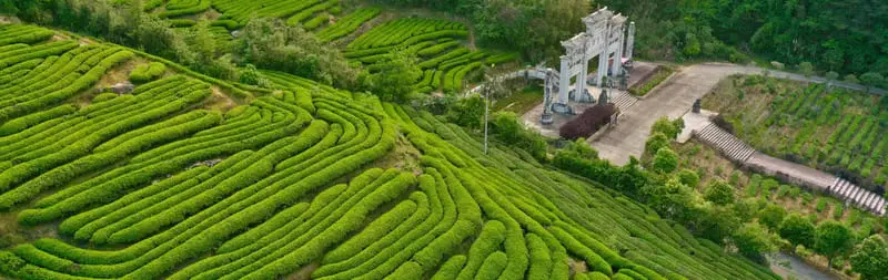 Thắng cảnh Vũ Di Sơn, di sản ấn tượng tại Ph&uacute;c Kiến 2