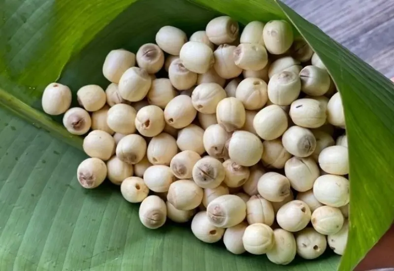 Top 11 đặc sản Trung Quốc l&agrave;m qu&agrave; nổi tiếng n&ecirc;n mua 10
