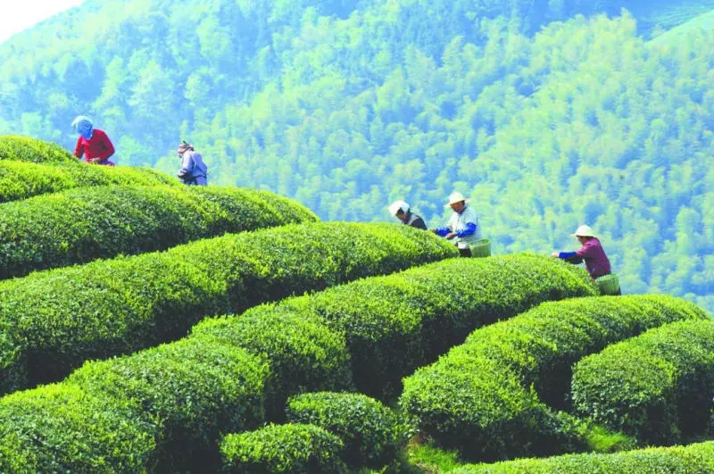 Lịch tr&igrave;nh du lịch Trung Quốc Tết 4N3Đ tự t&uacute;c 11