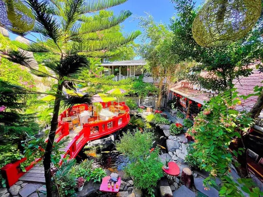 Check in Robusta Koi Garden, quán cafe có hồ cá Koi đẹp mê ly