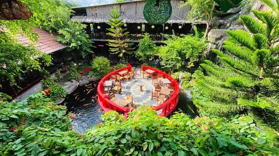 Check in Robusta Koi Garden, qu&aacute;n cafe c&oacute; hồ c&aacute; Koi đẹp m&ecirc; ly 8