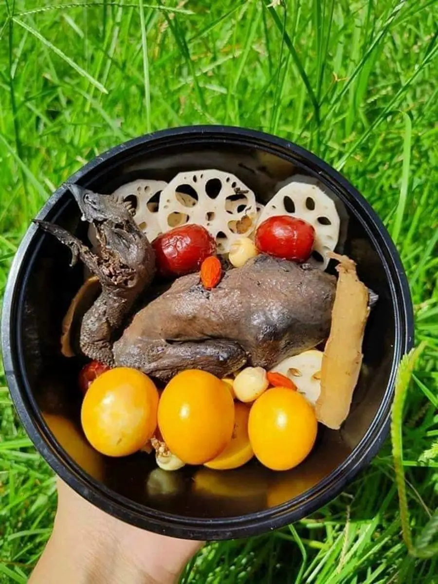 Gh&eacute; Ho&agrave;ng K&yacute; Vĩnh Long, thưởng thức ẩm thực bồi bổ sức khỏe 5