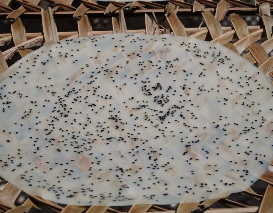 Kh&aacute;m ph&aacute; m&oacute;n B&aacute;nh tr&aacute;ng nem C&ugrave; Lao Lục Sĩ mềm dẻo, thơm ngon 2