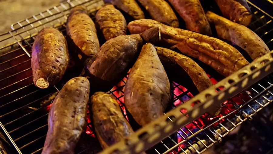Khoai lang B&igrave;nh T&acirc;n, loại củ đặc trưng của v&ugrave;ng nước nổi 7