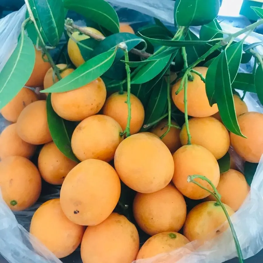 Những m&oacute;n ăn d&acirc;n d&atilde; ở Vĩnh Long nhưng sở hữu mỹ vị nh&acirc;n gian 5