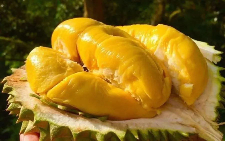Những thương hiệu đặc sản Vĩnh Long nổi tiếng khắp tứ phương 7