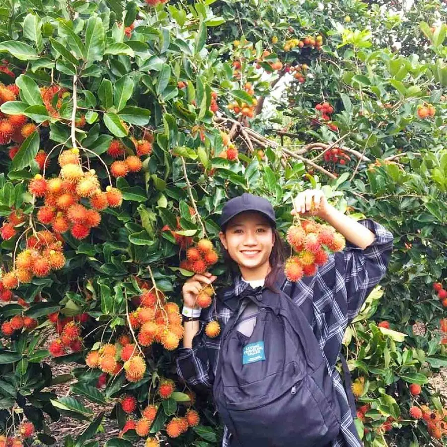 Lịch tr&igrave;nh kh&aacute;m ph&aacute; Vĩnh Long 2 ng&agrave;y vui qu&ecirc;n lối về 2