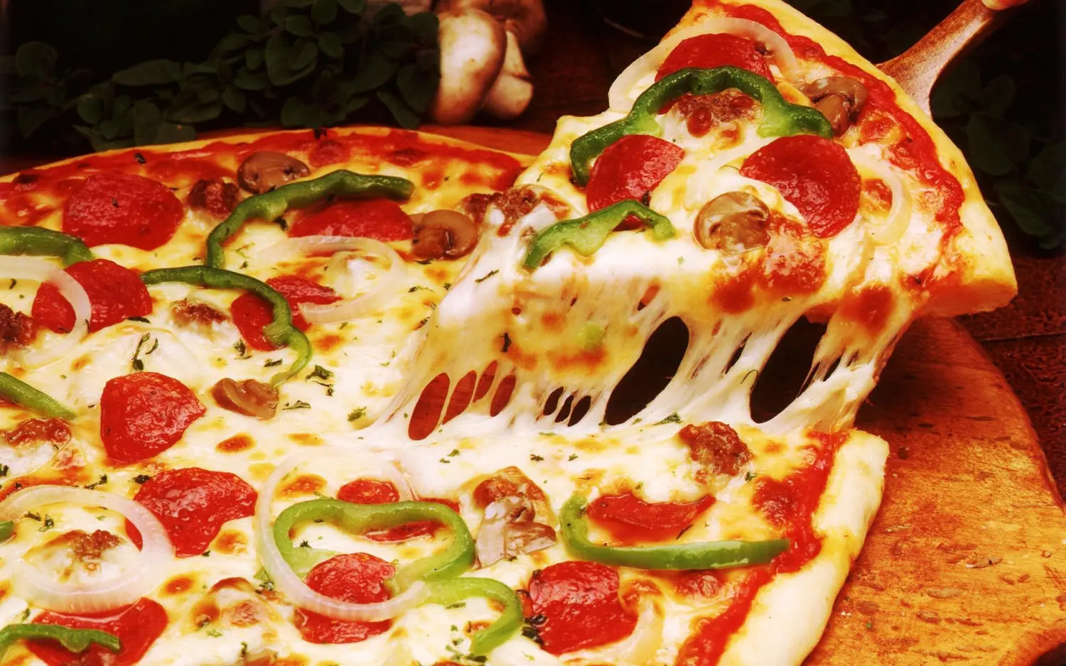 CJ Pub & Restaurant - Nhà hàng Pizza chuẩn vị Ý tọa lạc tại Vũng Tàu