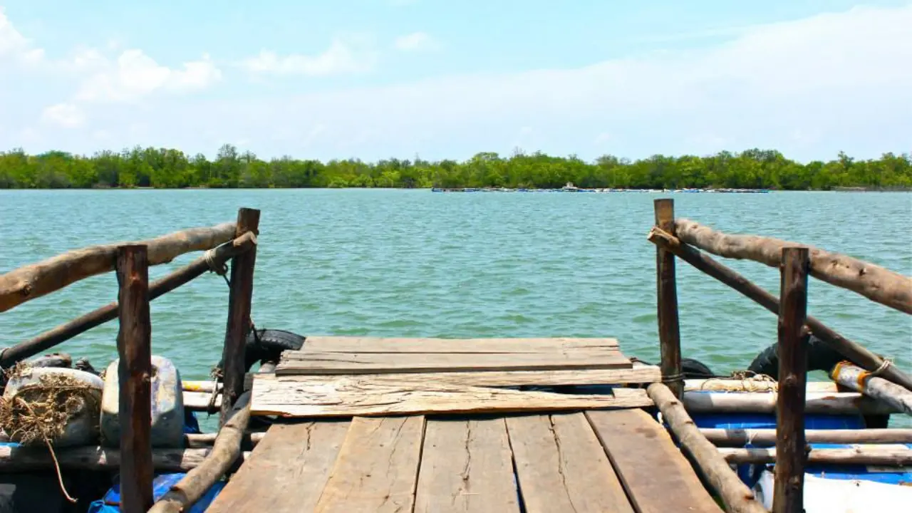 B&egrave; h&agrave;o Đực Nhỏ Long Sơn - Trải nghiệm thi&ecirc;n đường ẩm thực hải sản tươi sống tại Vũng T&agrave;u 10