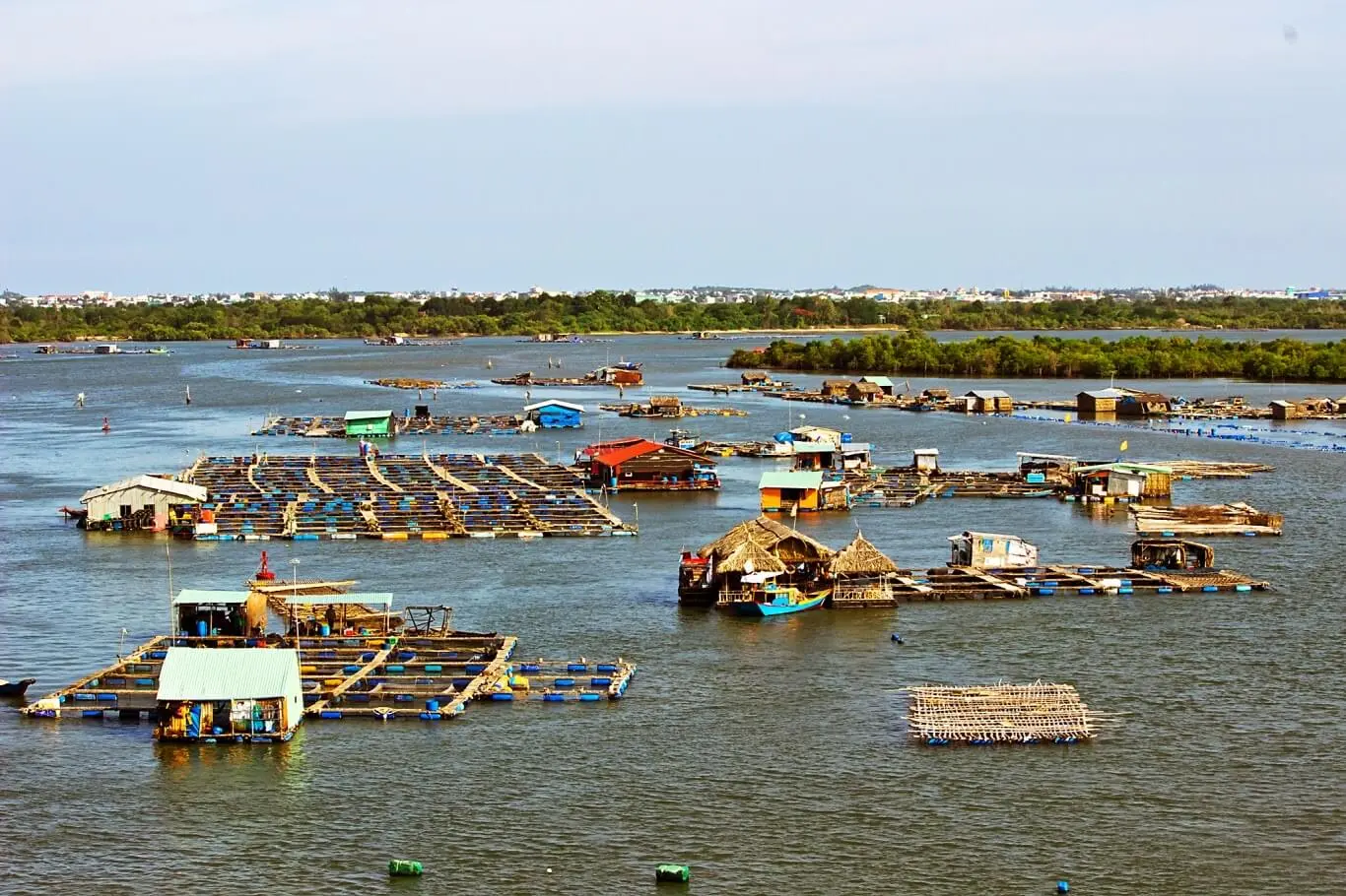Cảm nhận vị thơm ngon b&eacute;o ngậy tự nhi&ecirc;n từ m&oacute;n h&agrave;u đ&uacute;t l&ograve; Vũng T&agrave;u 6