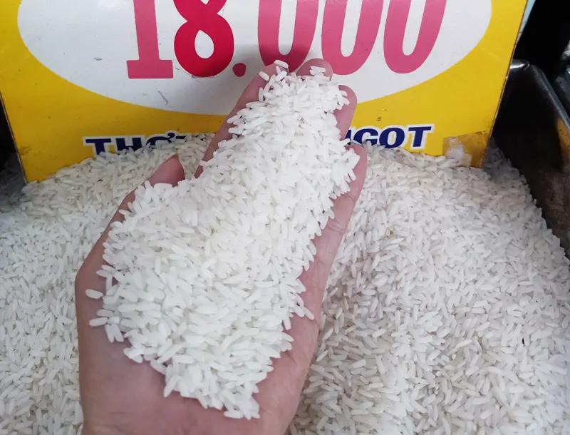 Cơm ni&ecirc;u hoa sữa Vũng T&agrave;u, hương vị kh&oacute; qu&ecirc;n của miền biển 4