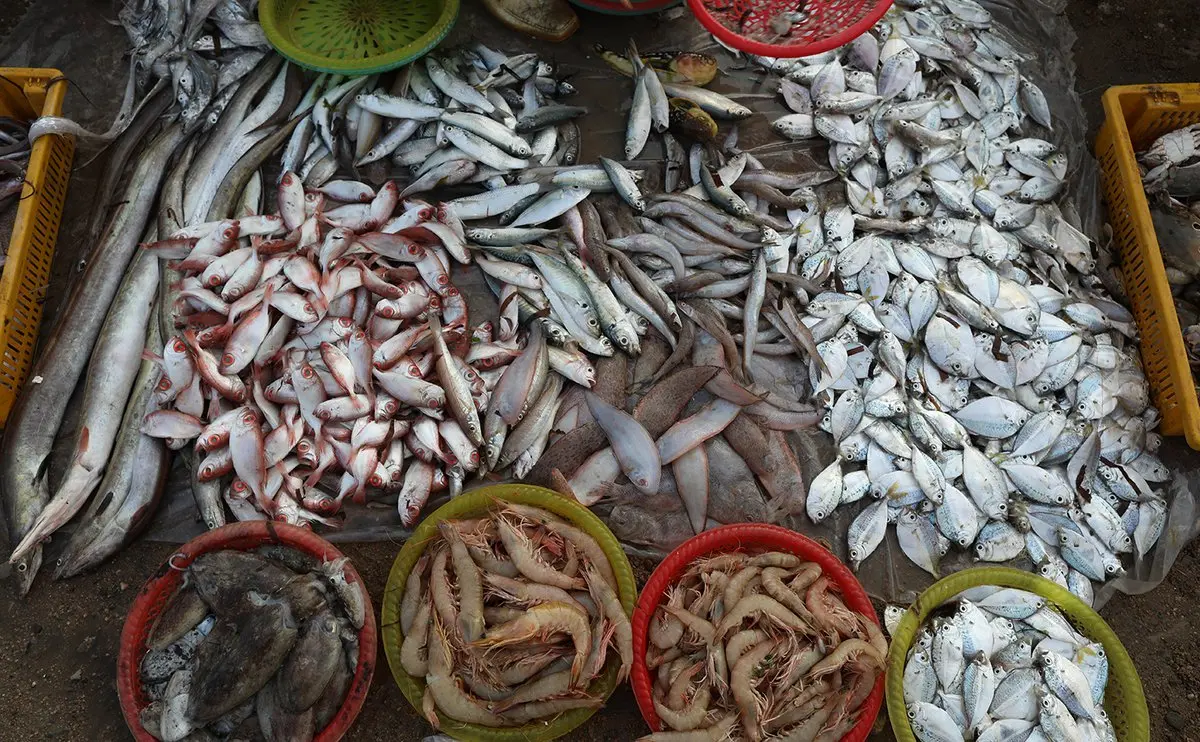 Gh&eacute; chợ X&oacute;m Lưới Vũng T&agrave;u rồi m&igrave;nh c&ugrave;ng rinh cả thế giới hải sản tươi ngon về nh&agrave; nh&eacute;! 13