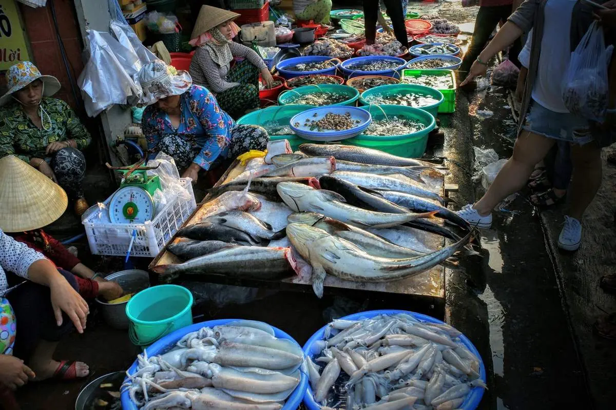 Gh&eacute; chợ X&oacute;m Lưới Vũng T&agrave;u rồi m&igrave;nh c&ugrave;ng rinh cả thế giới hải sản tươi ngon về nh&agrave; nh&eacute;! 11