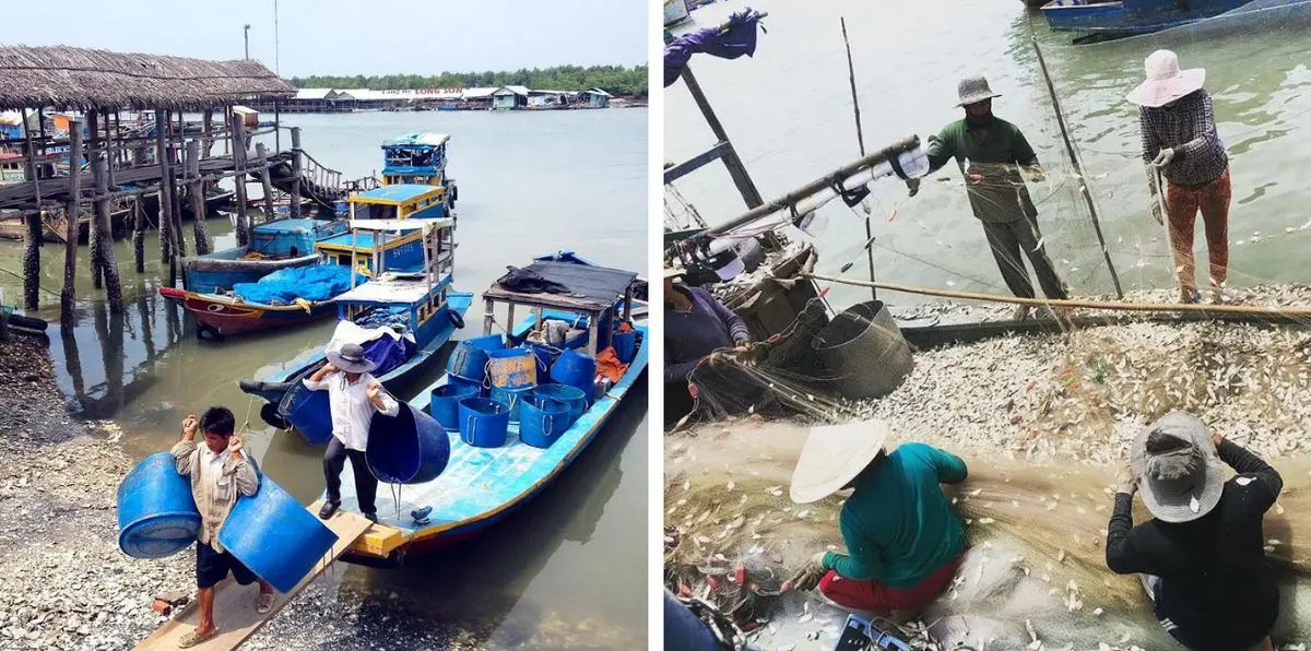Ghé thăm Làng bè Long Sơn với trải nghiệm ẩm thực và đời sống bình dị 7