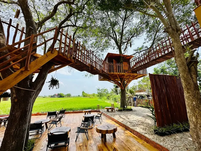 L&uacute;a Cafe Vũng T&agrave;u: Qu&aacute;n c&agrave; ph&ecirc; giữa đồng ruộng cực chill 4