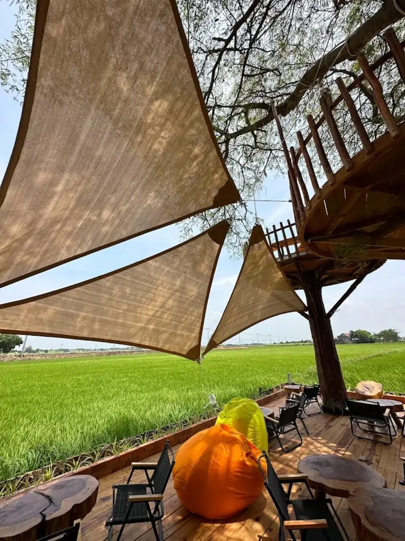 L&uacute;a Cafe Vũng T&agrave;u: Qu&aacute;n c&agrave; ph&ecirc; giữa đồng ruộng cực chill 6