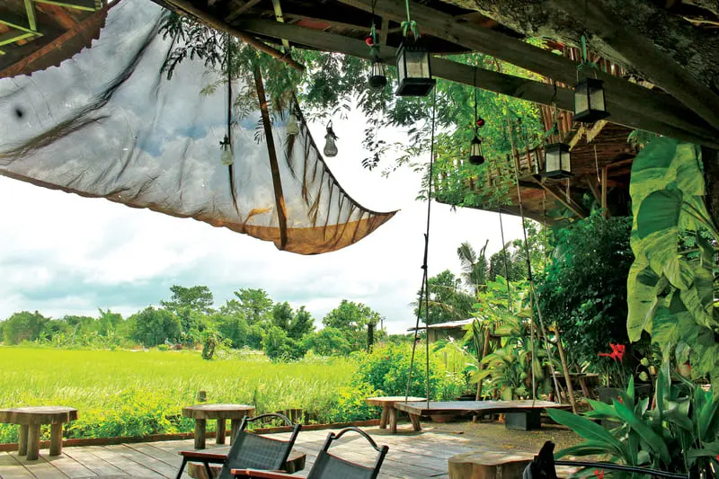 L&uacute;a Cafe Vũng T&agrave;u: Qu&aacute;n c&agrave; ph&ecirc; giữa đồng ruộng cực chill 5