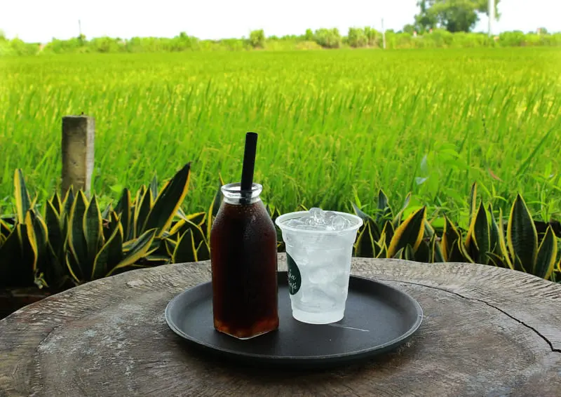 L&uacute;a Cafe Vũng T&agrave;u: Qu&aacute;n c&agrave; ph&ecirc; giữa đồng ruộng cực chill 7