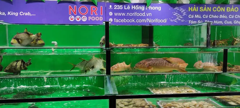 Nori Food &ndash; Nh&agrave; h&agrave;ng đối chứng độc đ&aacute;o tại th&agrave;nh phố Vũng T&agrave;u 3