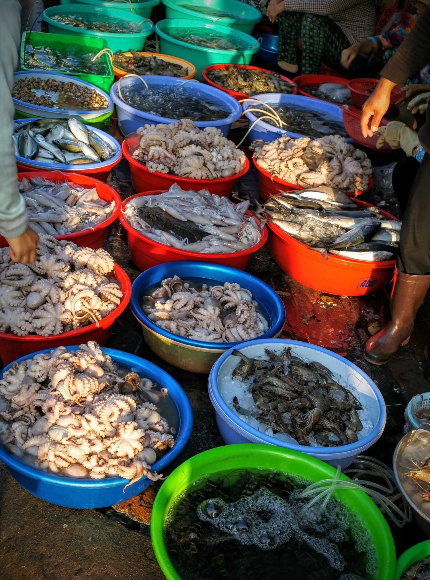 Ghé chợ Xóm Lưới Vũng Tàu rồi mình cùng rinh cả thế giới hải sản tươi ngon về nhà nhé!