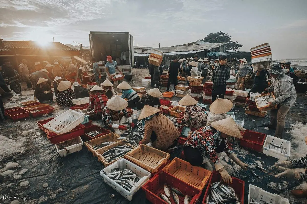Cảng c&aacute; B&agrave; Rịa - Vũng T&agrave;u - Nhịp sống sớm mai tại cảng c&aacute; qua ống k&iacute;nh của nhiếp ảnh gia Nguyễn Ho&agrave;ng Phi 2
