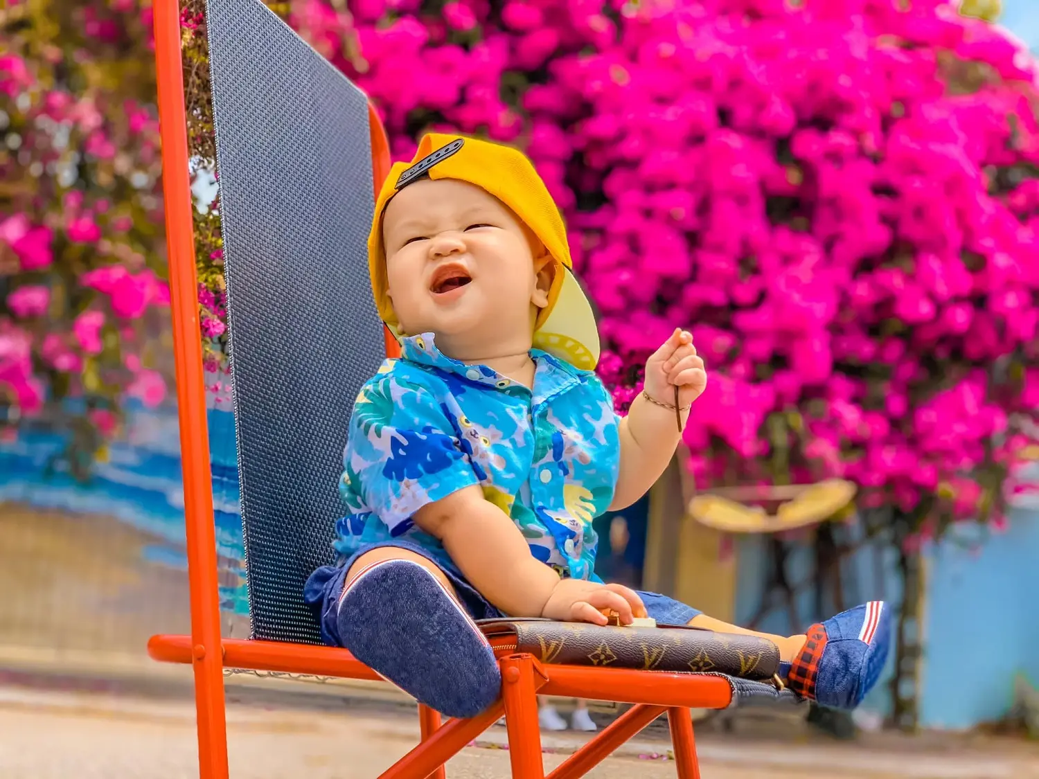 Chiêm ngưỡng mùa hoa giấy Vũng Tàu - Vẻ đẹp vừa mong manh vừa mãnh liệt của loài hoa nắng gió 6