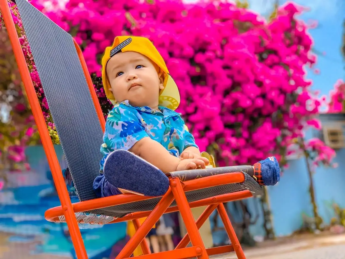 Chiêm ngưỡng mùa hoa giấy Vũng Tàu - Vẻ đẹp vừa mong manh vừa mãnh liệt của loài hoa nắng gió 9