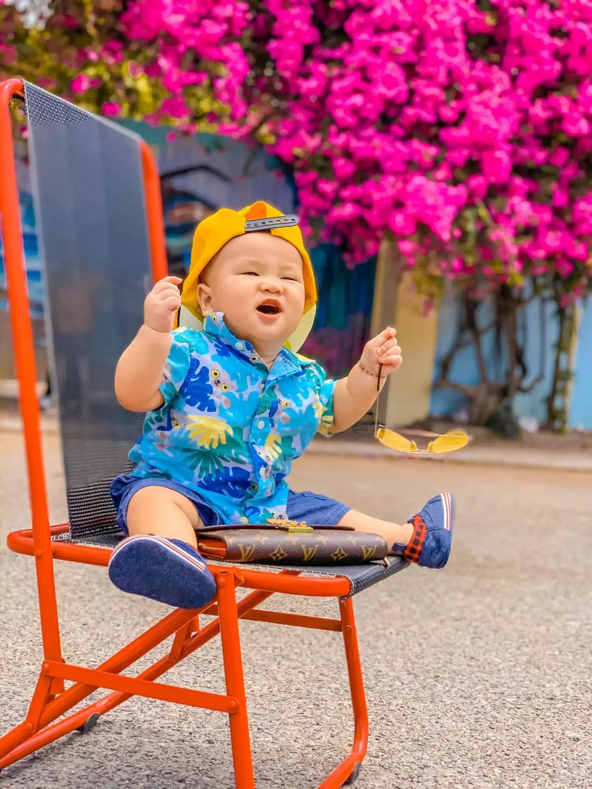 Chiêm ngưỡng mùa hoa giấy Vũng Tàu - Vẻ đẹp vừa mong manh vừa mãnh liệt của loài hoa nắng gió 7