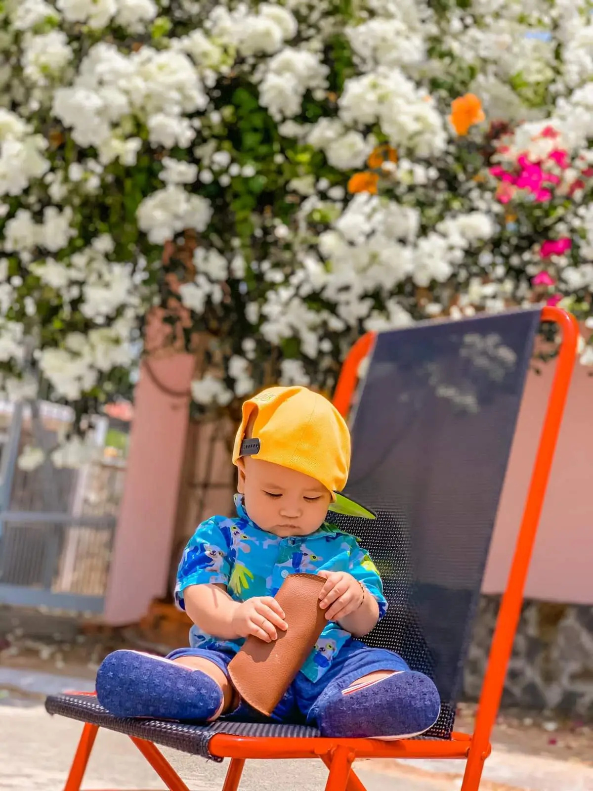 Chiêm ngưỡng mùa hoa giấy Vũng Tàu - Vẻ đẹp vừa mong manh vừa mãnh liệt của loài hoa nắng gió 8