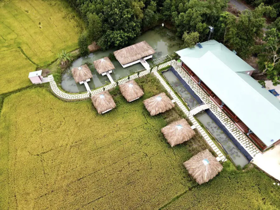 C&oacute; một C&aacute;nh đồng gi&oacute; Xuy&ecirc;n Mộc đẹp tựa Maldives thu nhỏ 4