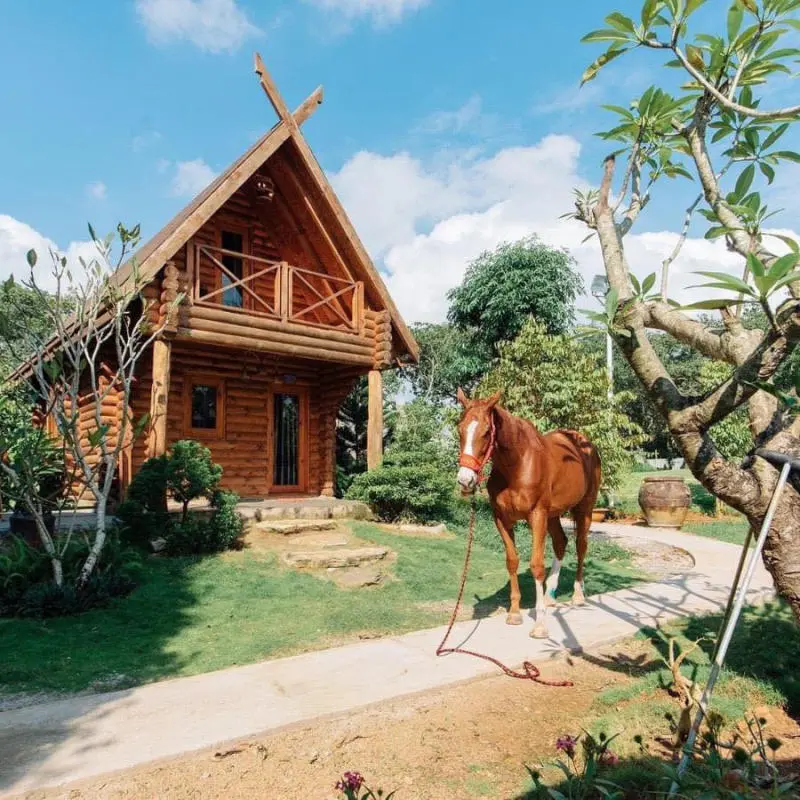 Đến Greenfield Farmstay trải nghiệm cuộc sống n&ocirc;ng th&ocirc;n 9