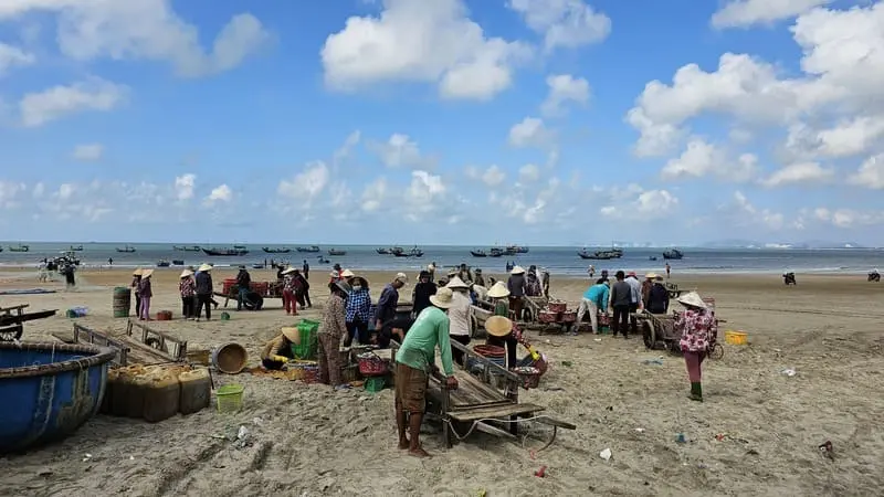 Du lịch Long Hải kh&aacute;m ph&aacute; thế giới thi&ecirc;n nhi&ecirc;n trong l&agrave;nh 4