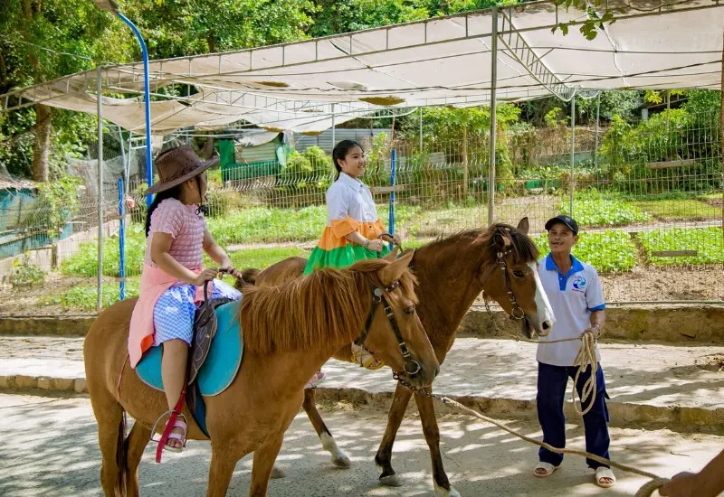 Hồ M&acirc;y Park Vũng T&agrave;u: Điểm du lịch sang chảnh, cực chill 10
