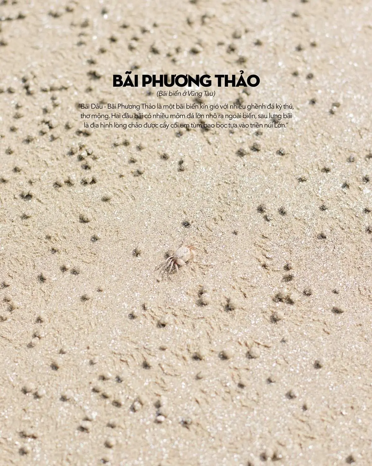 Kh&ocirc;ng chỉ c&oacute; mỗi con hẻm, B&atilde;i D&acirc;u Vũng T&agrave;u c&oacute; qu&aacute; trời thứ dễ thương lu&ocirc;n n&egrave; 8