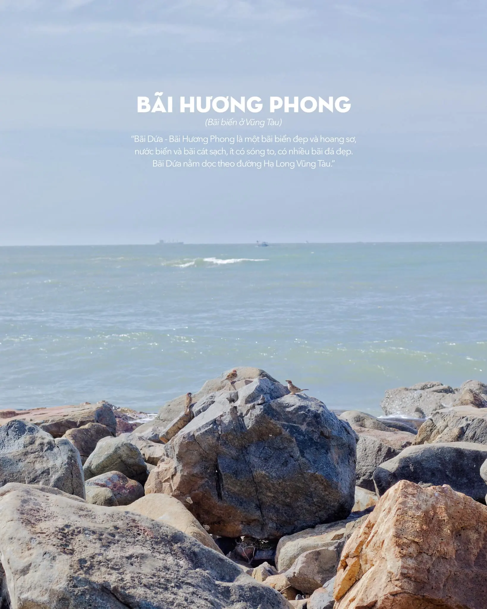 Ng&oacute; nghi&ecirc;ng, ng&oacute; dọc chớ qu&ecirc;n ng&oacute; lu&ocirc;n mấy điều dễ thương ở B&atilde;i Dứa Vũng T&agrave;u 6