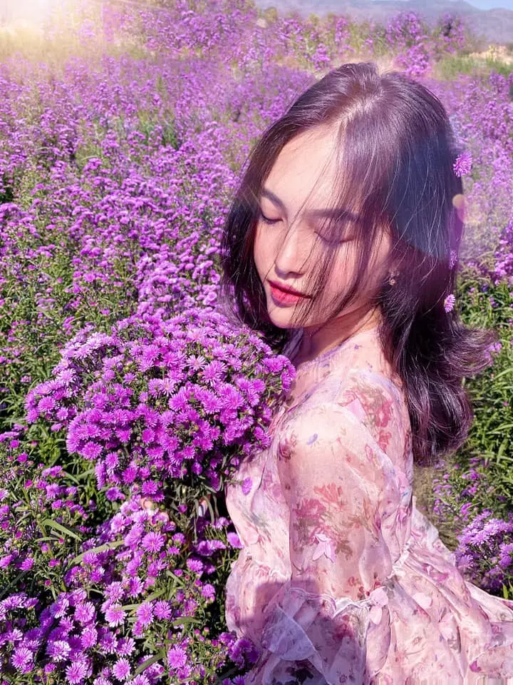 Nhẹ nhàng một vùng trời tím mộng mơ với sắc màu của vườn hoa thạch thảo Vũng Tàu 11
