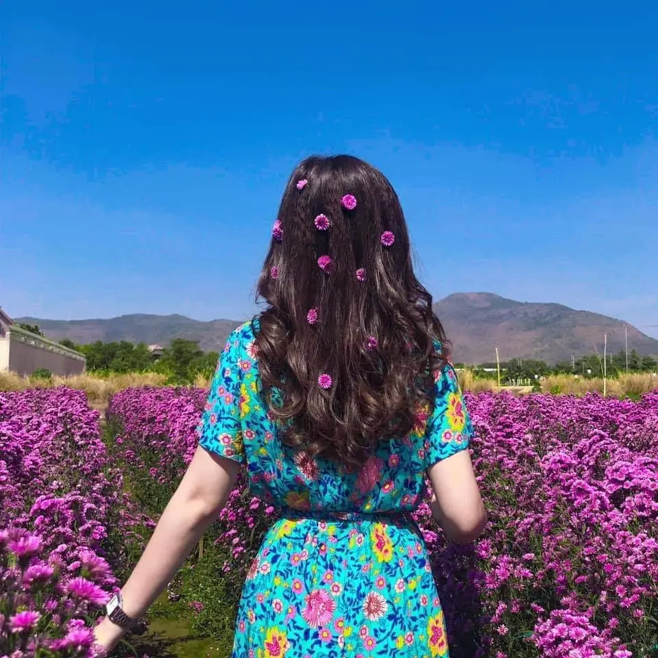 Nhẹ nh&agrave;ng một v&ugrave;ng trời t&iacute;m mộng mơ với sắc m&agrave;u của vườn hoa thạch thảo Vũng T&agrave;u 8
