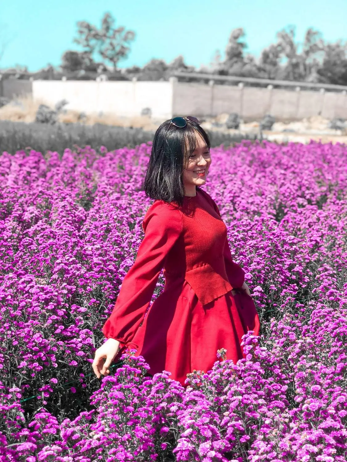 Nhẹ nhàng một vùng trời tím mộng mơ với sắc màu của vườn hoa thạch thảo Vũng Tàu 18