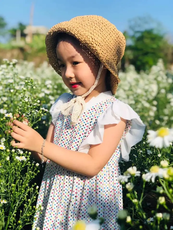 Nhẹ nhàng một vùng trời tím mộng mơ với sắc màu của vườn hoa thạch thảo Vũng Tàu 21