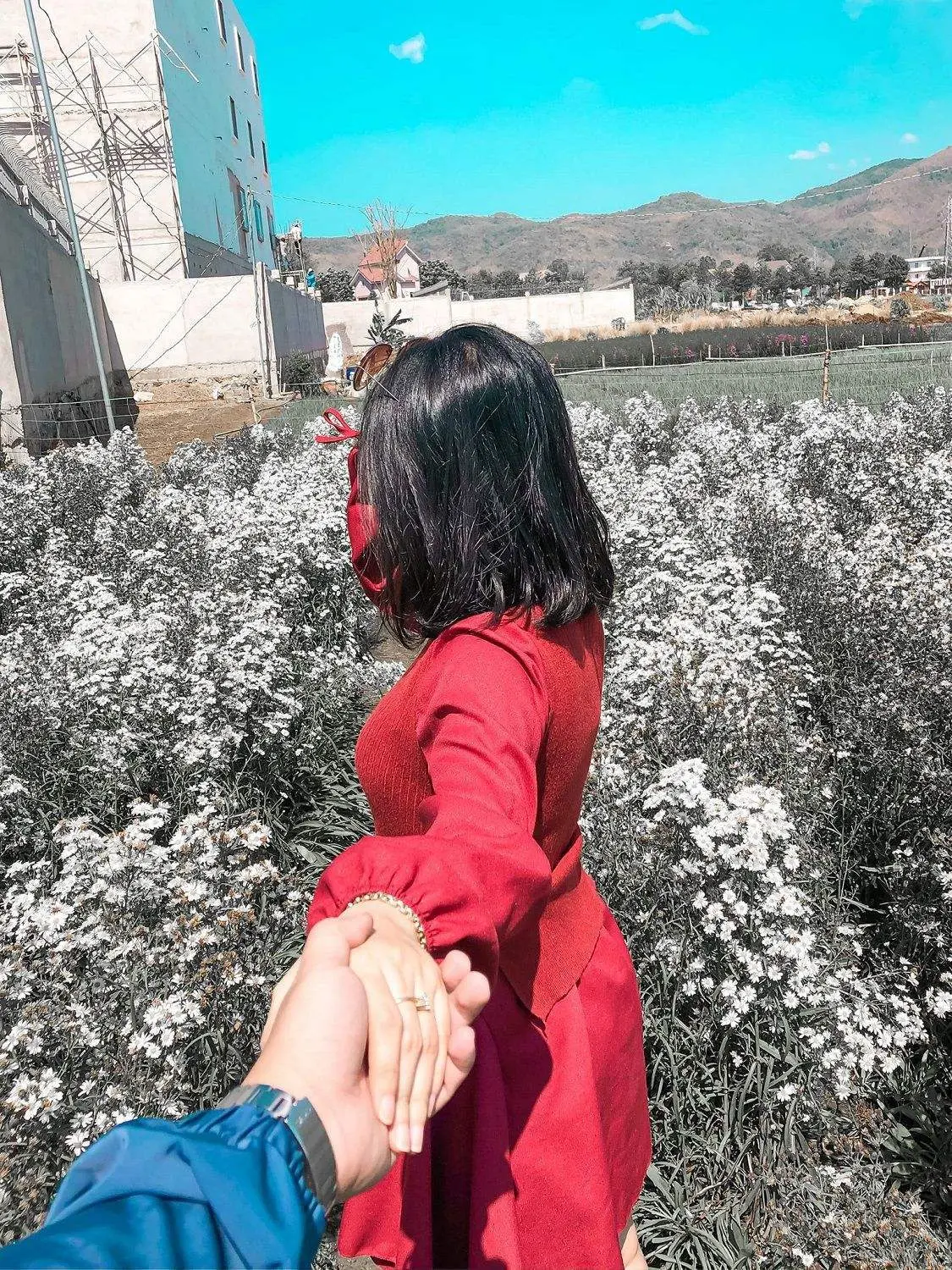 Nhẹ nhàng một vùng trời tím mộng mơ với sắc màu của vườn hoa thạch thảo Vũng Tàu 19