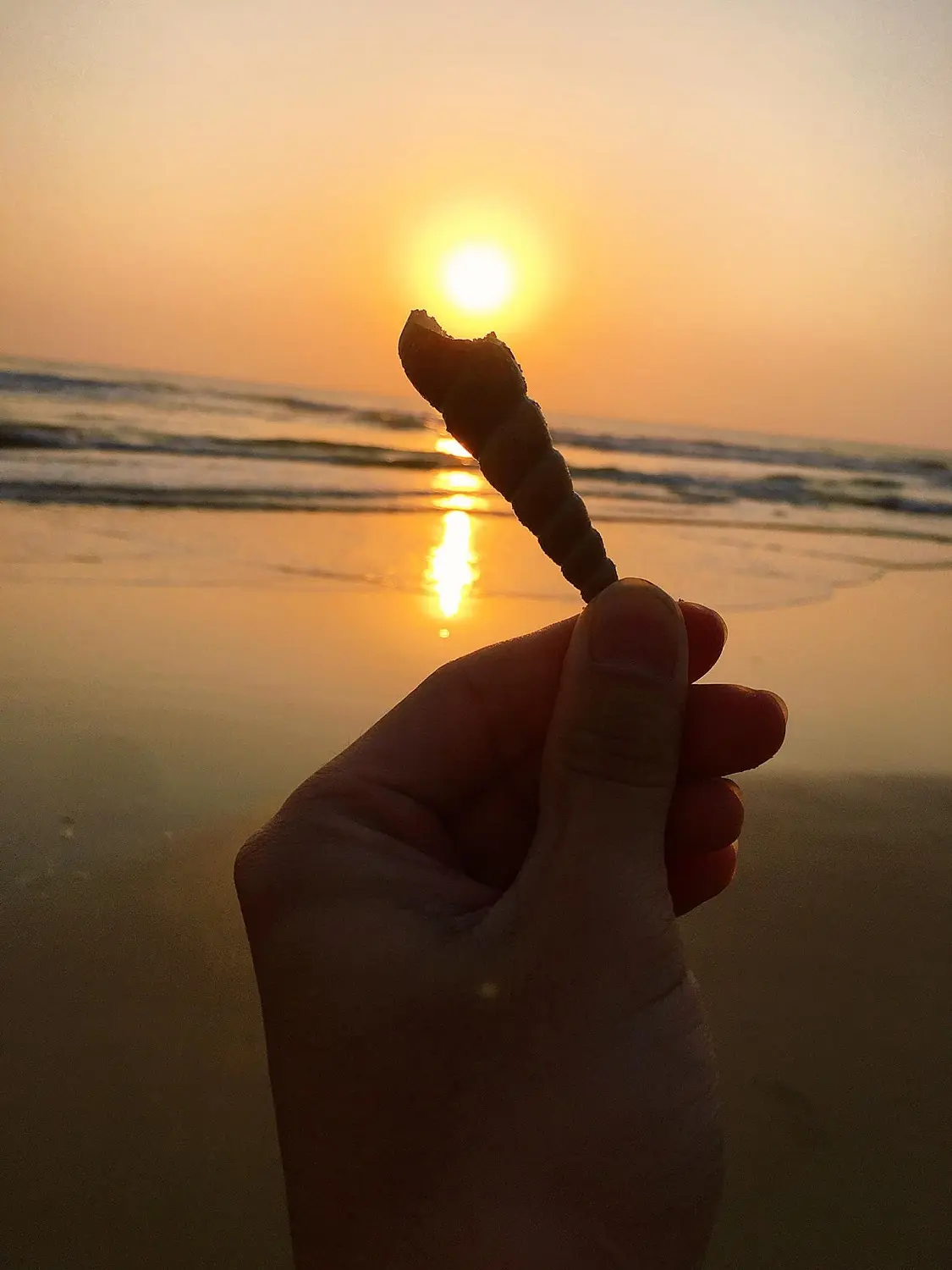 Ơ hay! Một ng&agrave;y ở Vũng T&agrave;u cũng được trải nghiệm nhiều điều th&uacute; vị thế cơ &agrave; 8